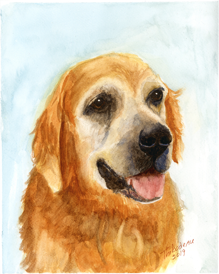 pet portrait in watercolors