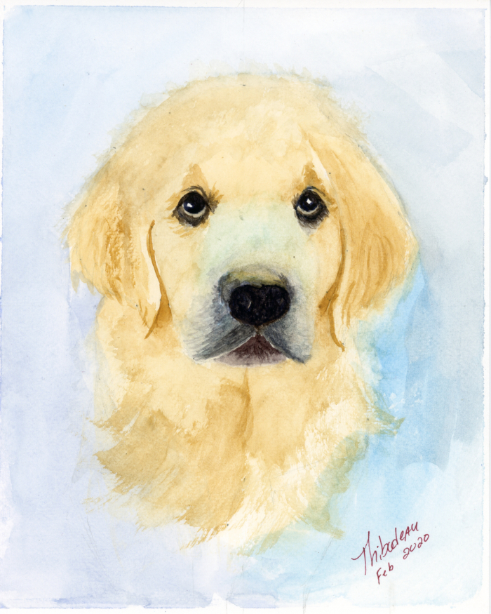 watercolor pet portrait