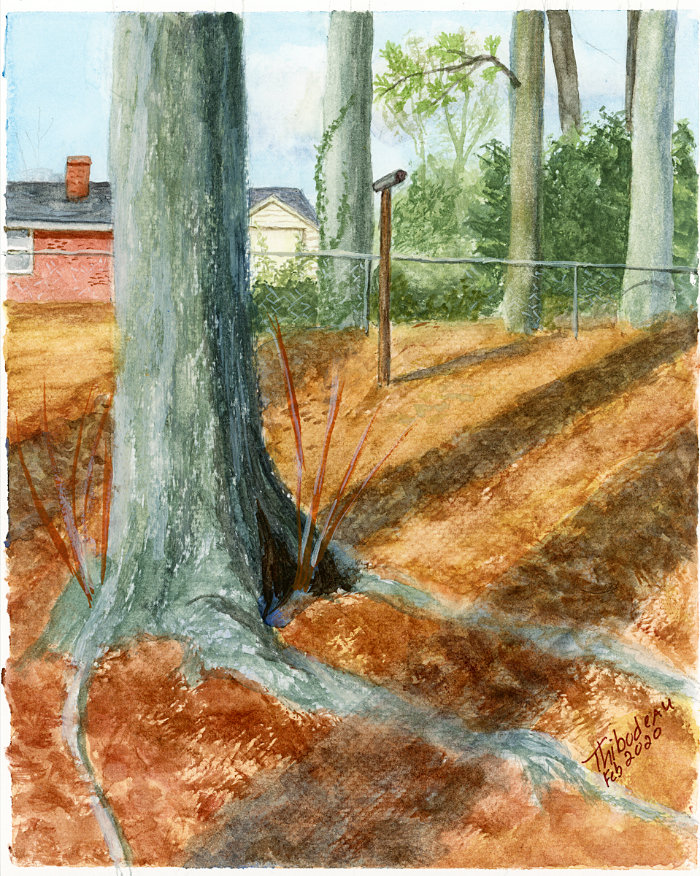 Wake Forest backyard watercolor landscape painting