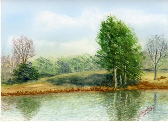 Wake Forest backyard watercolor landscape painting