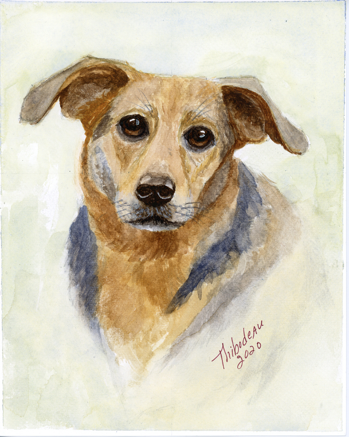 watercolor pet portrait painting