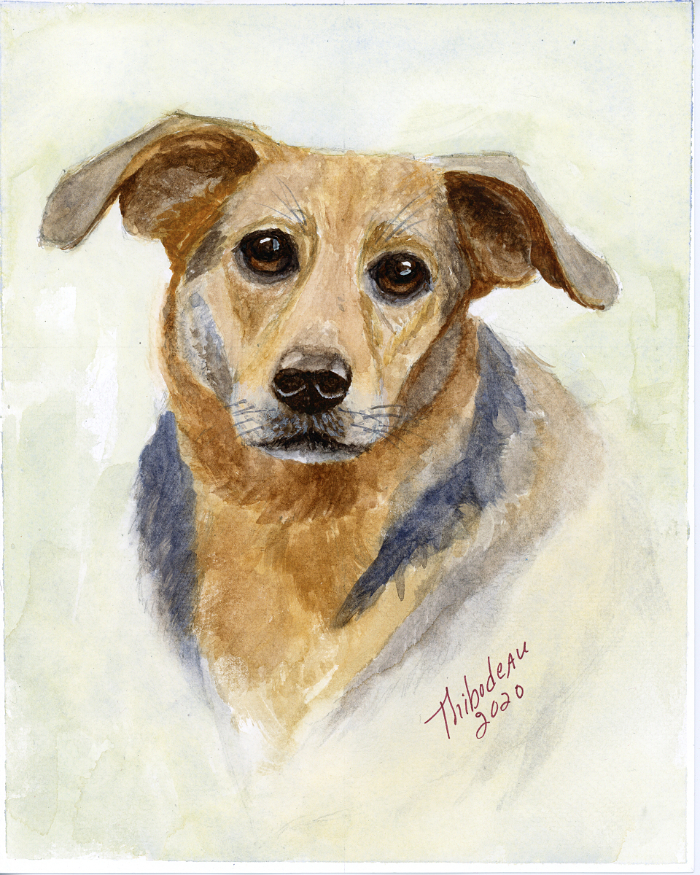 watercolor pet portrait